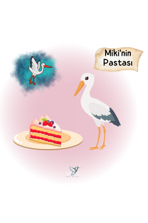 MİKİ'NİN PASTASI